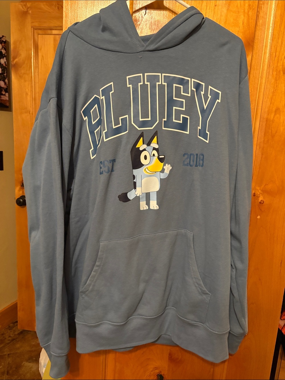 Blue Graphic 'PLUEY' Hooded Sweatshirt - Blue